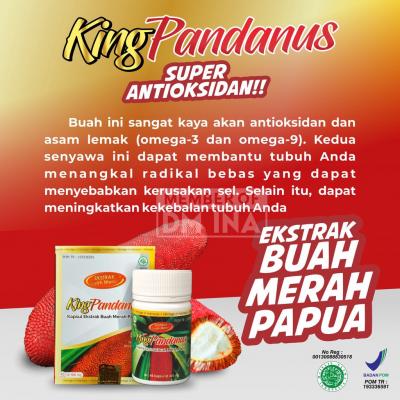 KING PANDANUS